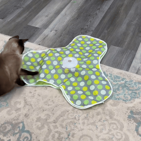 jouet- pour- chat- interactifs ™