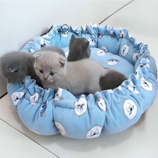 coussin - chat - rond - Chatsadore.com