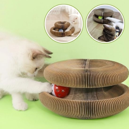 griffoir- pour- chat- avec- balle