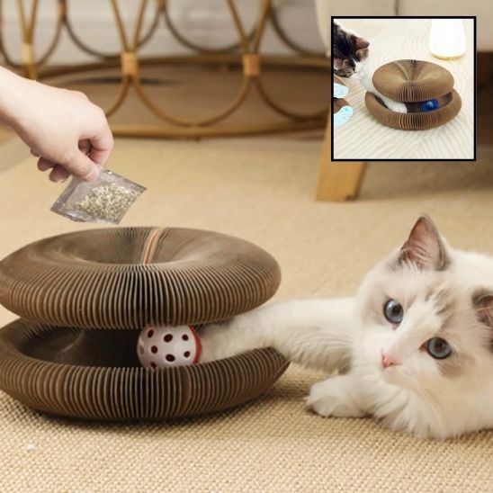 griffoir - pour - chat - avec - balle - Chatsadore.com