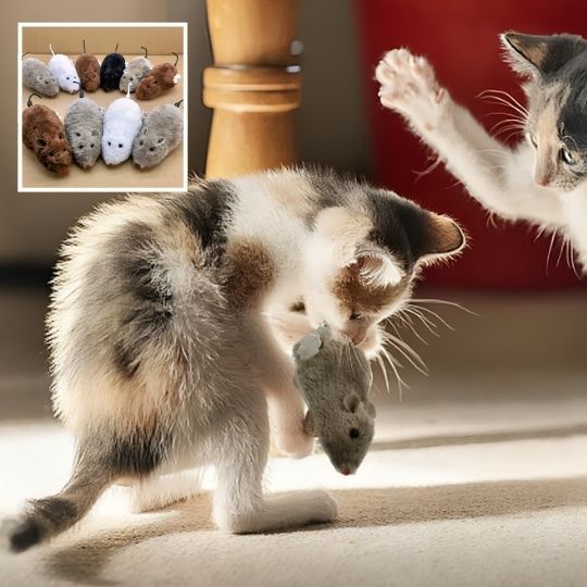 jouet - chat - Chatsadore.com
