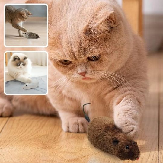 jouet - chat - Chatsadore.com