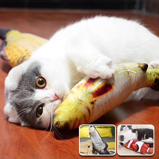 jouet - chat - interactif - poissons™ - Chatsadore.com