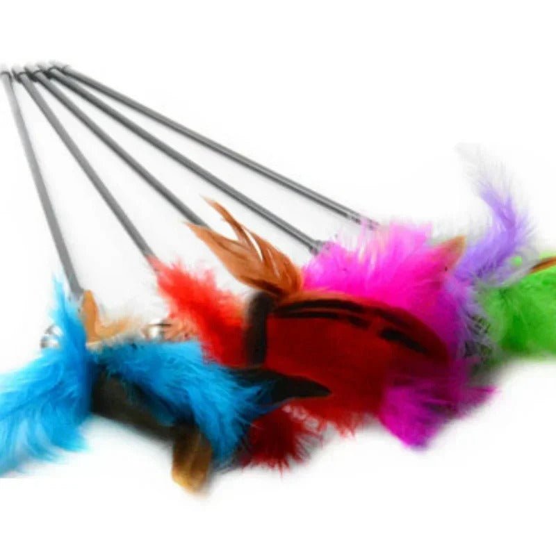 jouet - pour - chat - à - plumes - Chatsadore.com
