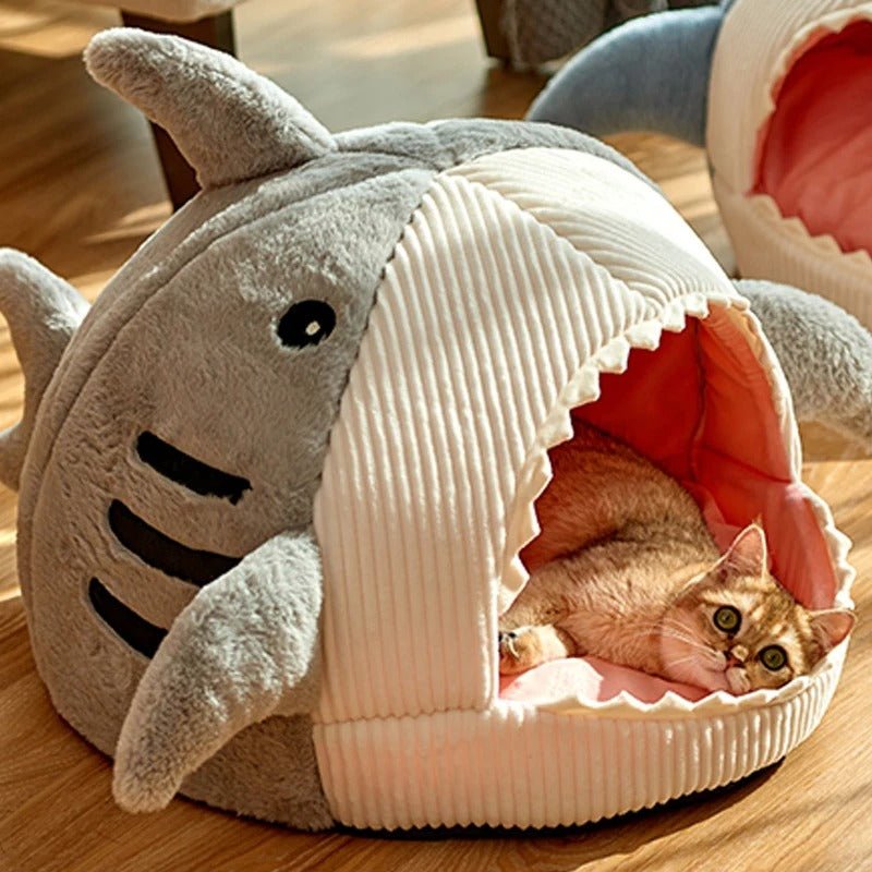 maison - pour - chat - requins - Chatsadore.com