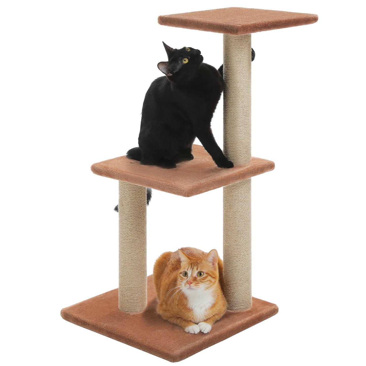 mini arbre pour chat - Chatsadore.com