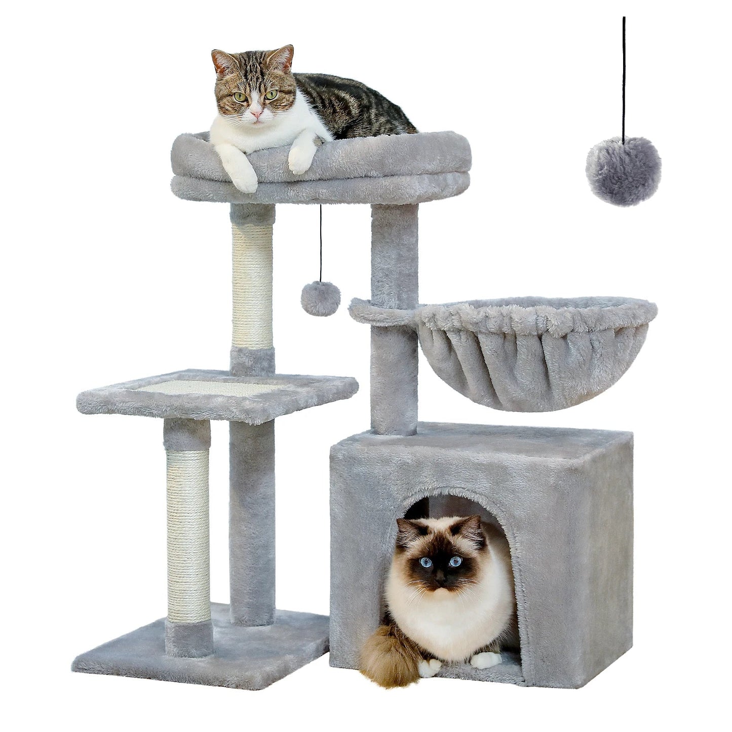 mini arbre pour chat - Chatsadore.com