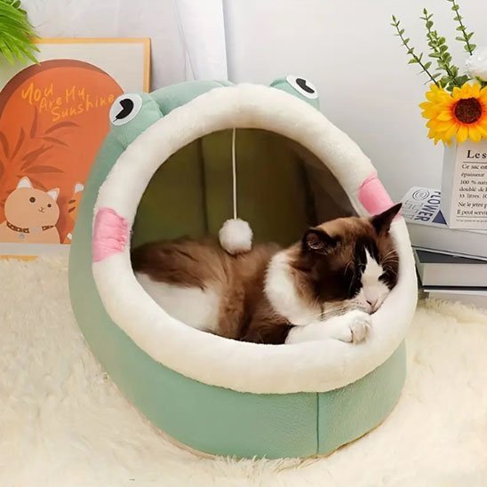 Niche pour chat | Cocon Design - Chatsadore.com