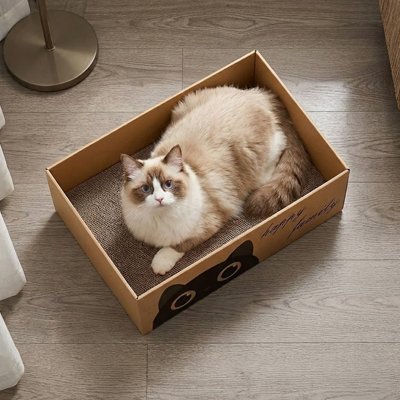 Chat alonger sur griffoir Chat carton