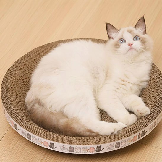 Griffoir rond avec couchage concon