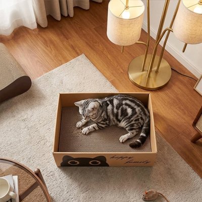 Je me repose  dans mongriffoir Chat carton