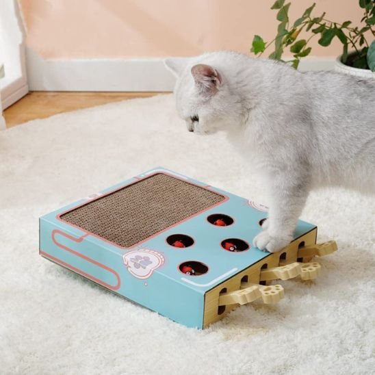 chat joue avec Griffoir 2-en-1  jeu et griffades