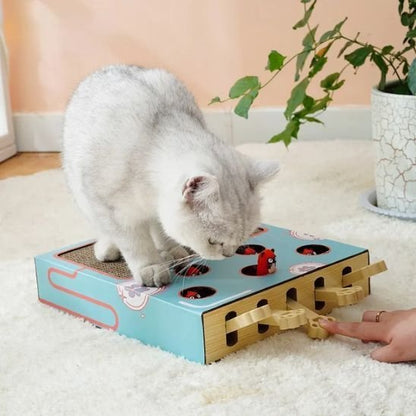  chat joue avec Griffoir ludique avec souris cachées