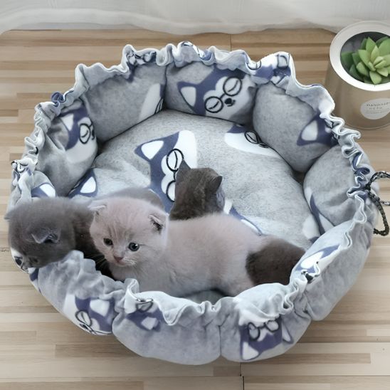 coussin - chat - rond - Chatsadore.com