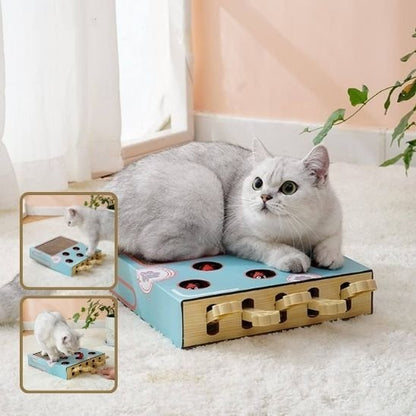 chat sur Griffoir en carton avec jeu de chasse