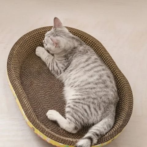 Griffoir panier en carton avec chat allongé