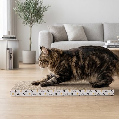 griffoir en carton pour Chat