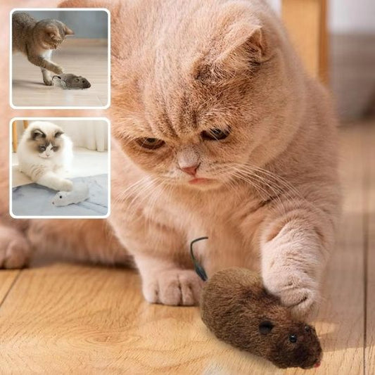 jouet - chat - Chatsadore.com