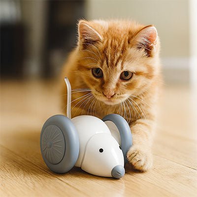 jouet - chat - interactif - Chatsadore.com