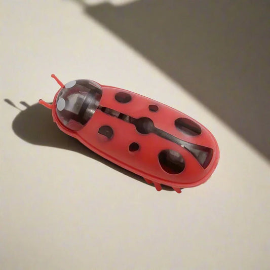 Jouet électrique - MiniInsecteToy™ - Coccinelles - Chatsadore