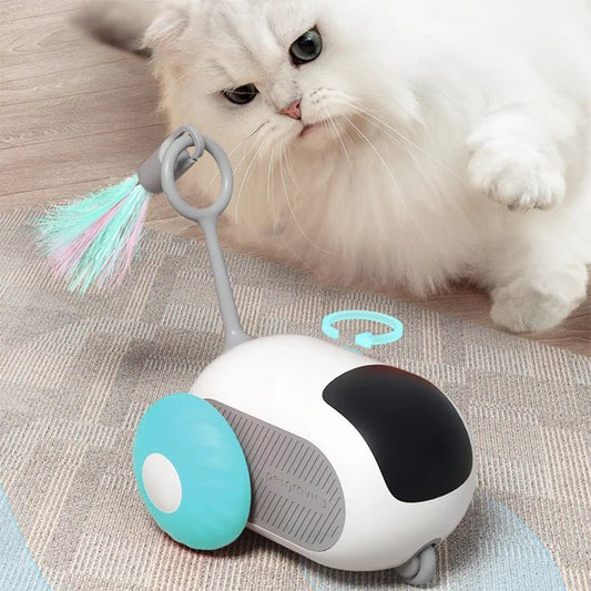 Jouet Interactif pour Chat - ToyFunCats™ - Bleu - Chatsadore