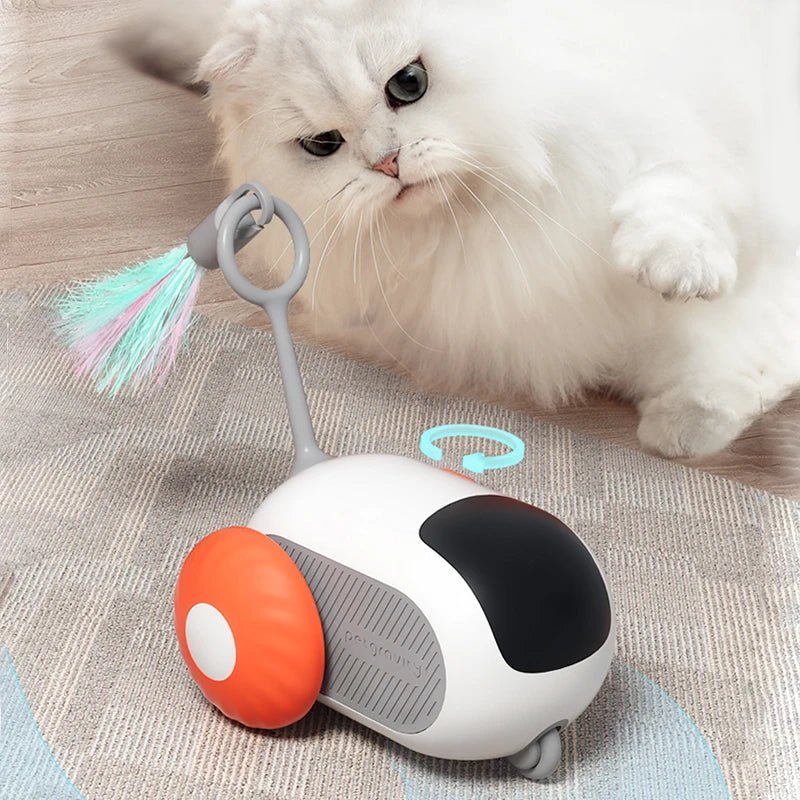 Jouet Interactif pour Chat - ToyFunCats™ - Orange - Chatsadore