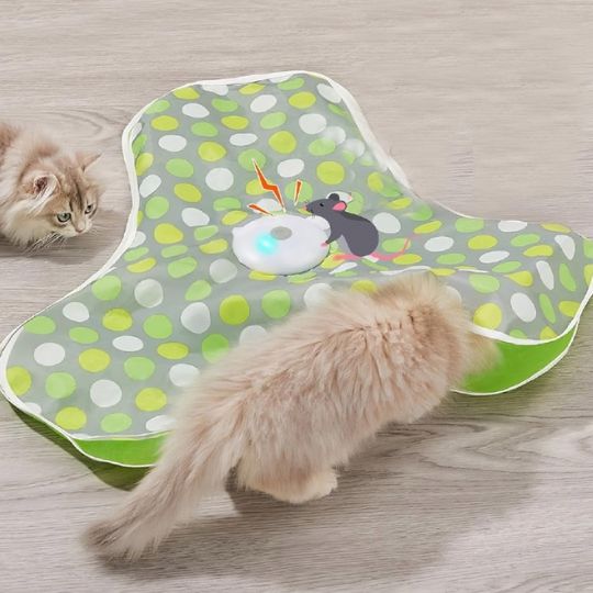 jouet - pour - chat - interactifs ™ - Chatsadore.com