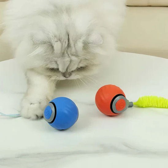 jouet - pour - chat - interactive - Chatsadore.com