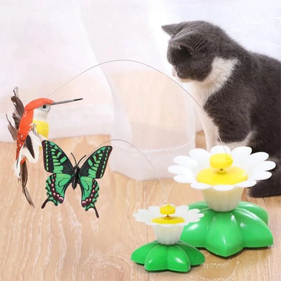jouet - pour - chat - papillon - Chatsadore.com