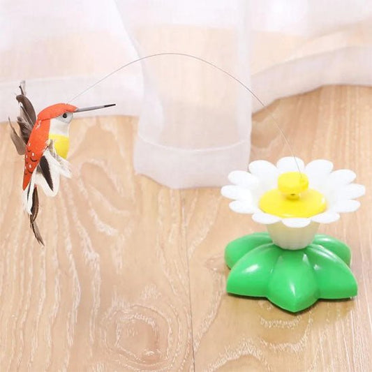 jouet - pour - chat - papillon - Chatsadore.com
