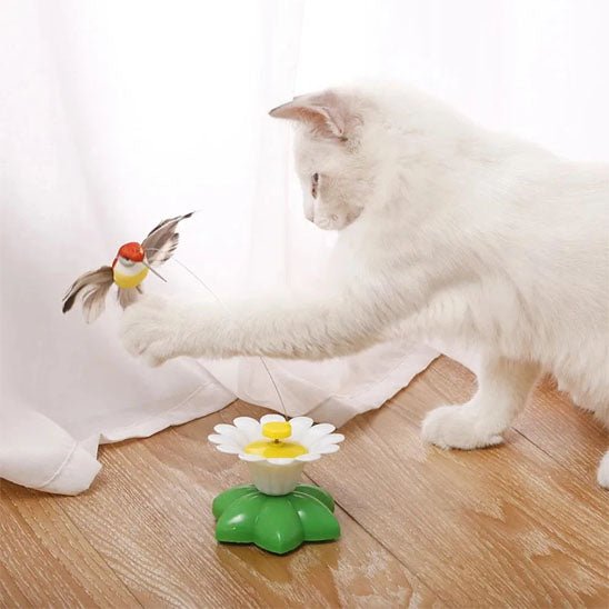 jouet - pour - chat - papillon - Chatsadore.com