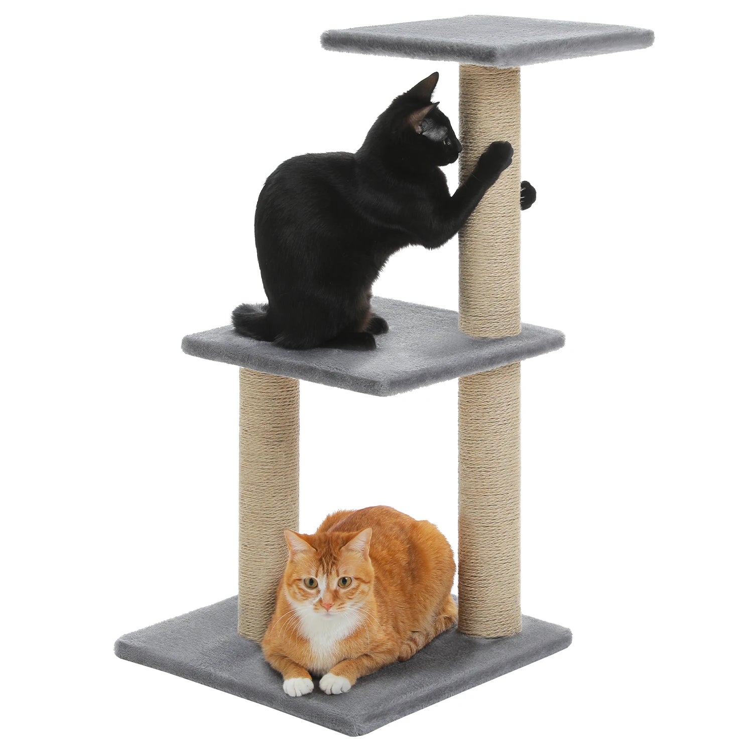 mini arbre pour chat - Chatsadore.com
