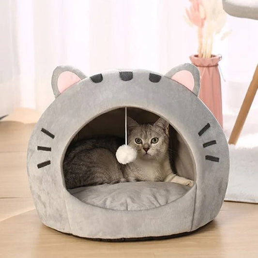 niche - pour - chat - Chatsadore.com