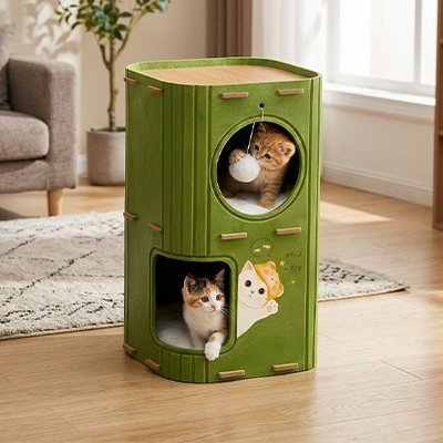 Niche pour chat Plateformes d'observation