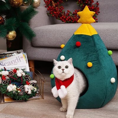 Niche pour Chat | Cocooning Design - vert
