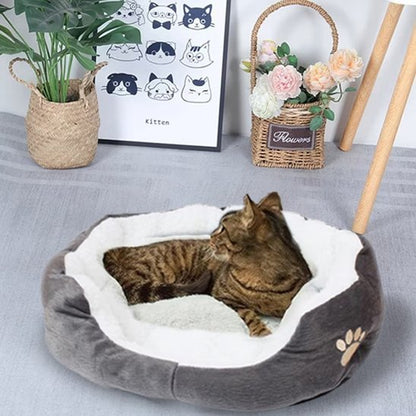 Panier Chat | Comfort Premium - Chatsadore.com