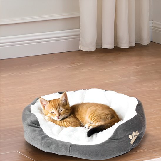Panier Chat | Comfort Premium - Chatsadore.com