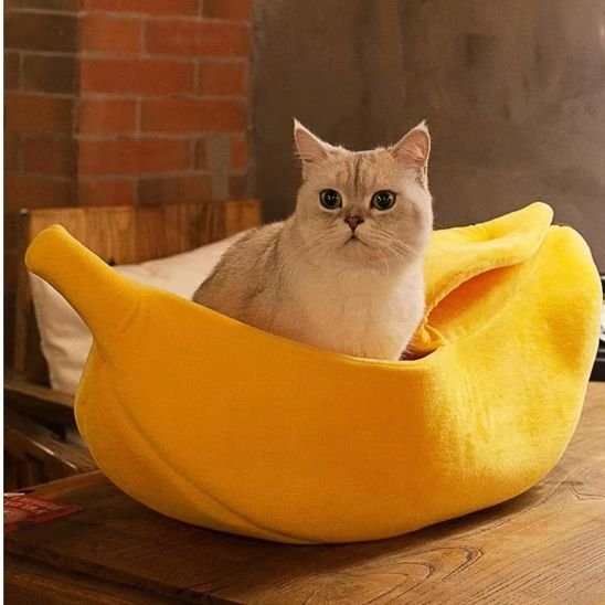 Panier pour chat | Confort Design - Chatsadore.com