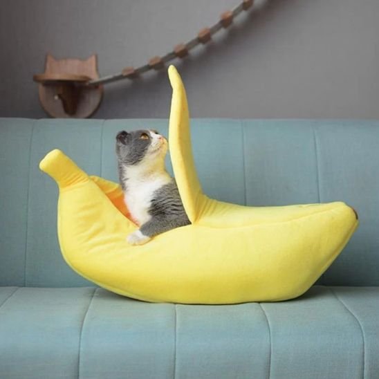 Panier pour chat | Confort Design - Chatsadore.com